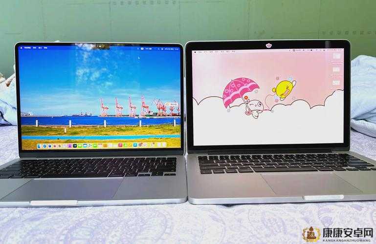 16 岁日本学生的 MacBook Pro 为何反而比影视更受欢迎